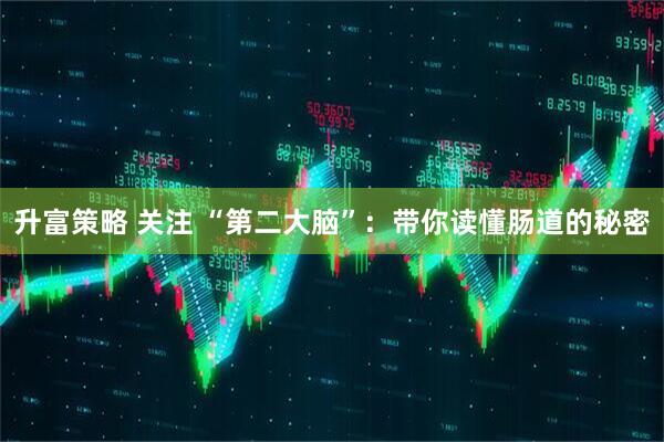 升富策略 关注 “第二大脑”：带你读懂肠道的秘密