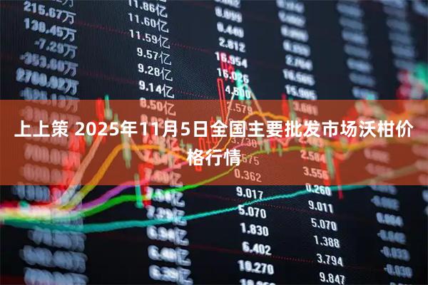 上上策 2025年11月5日全国主要批发市场沃柑价格行情