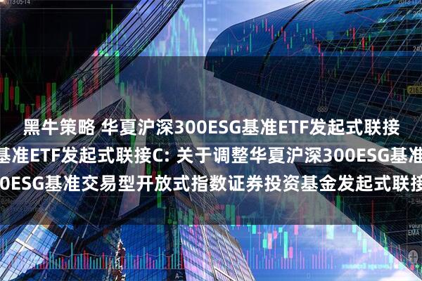 黑牛策略 华夏沪深300ESG基准ETF发起式联接A,华夏沪深300ESG基准ETF发起式联接C: 关于调整华夏沪深300ESG基准交易型开放式指数证券投资基金发起式联接基金基金经理的公告