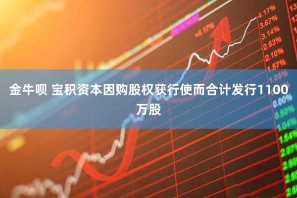 金牛呗 宝积资本因购股权获行使而合计发行1100万股