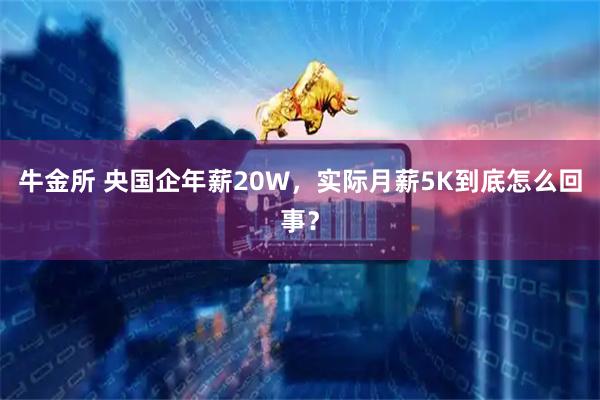 牛金所 央国企年薪20W，实际月薪5K到底怎么回事？