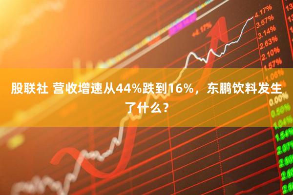 股联社 营收增速从44%跌到16%，东鹏饮料发生了什么？